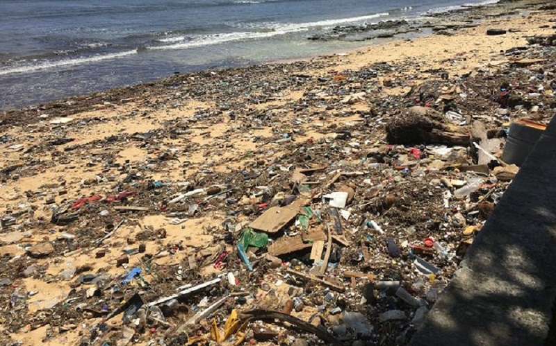 Garbage and brown algae are strewn along ocean side beaches