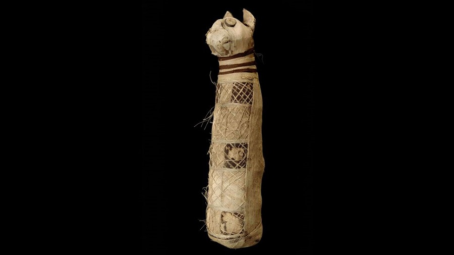 The Rennes Mummy