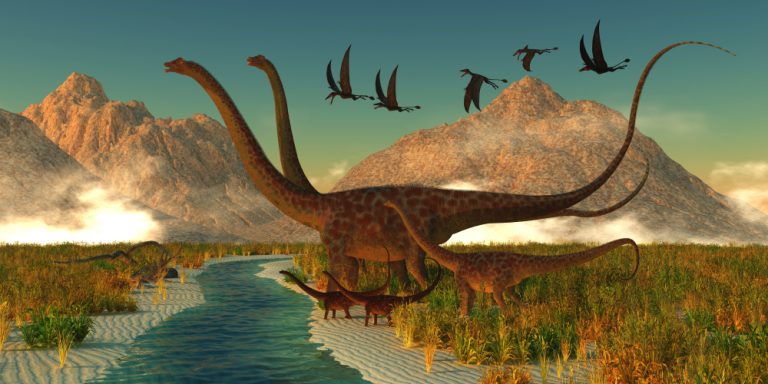 world's largest dinosaur fossil